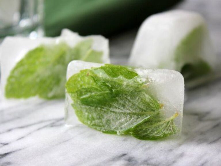 Can You Freeze Mint