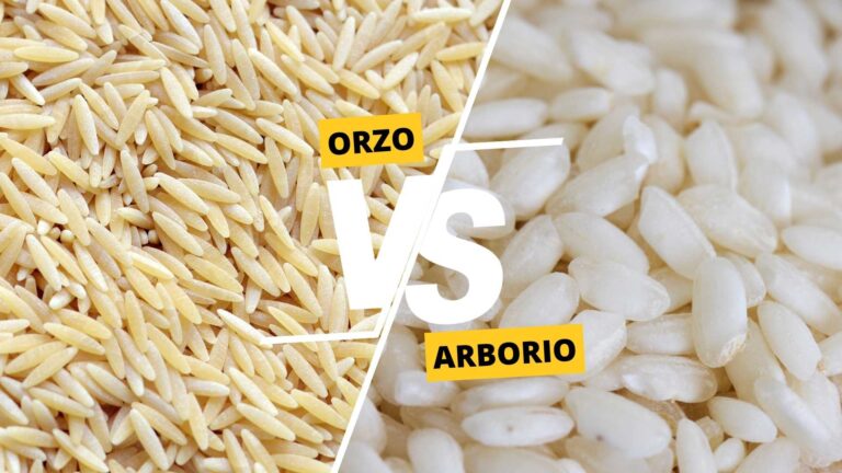 Orzo vs Arborio