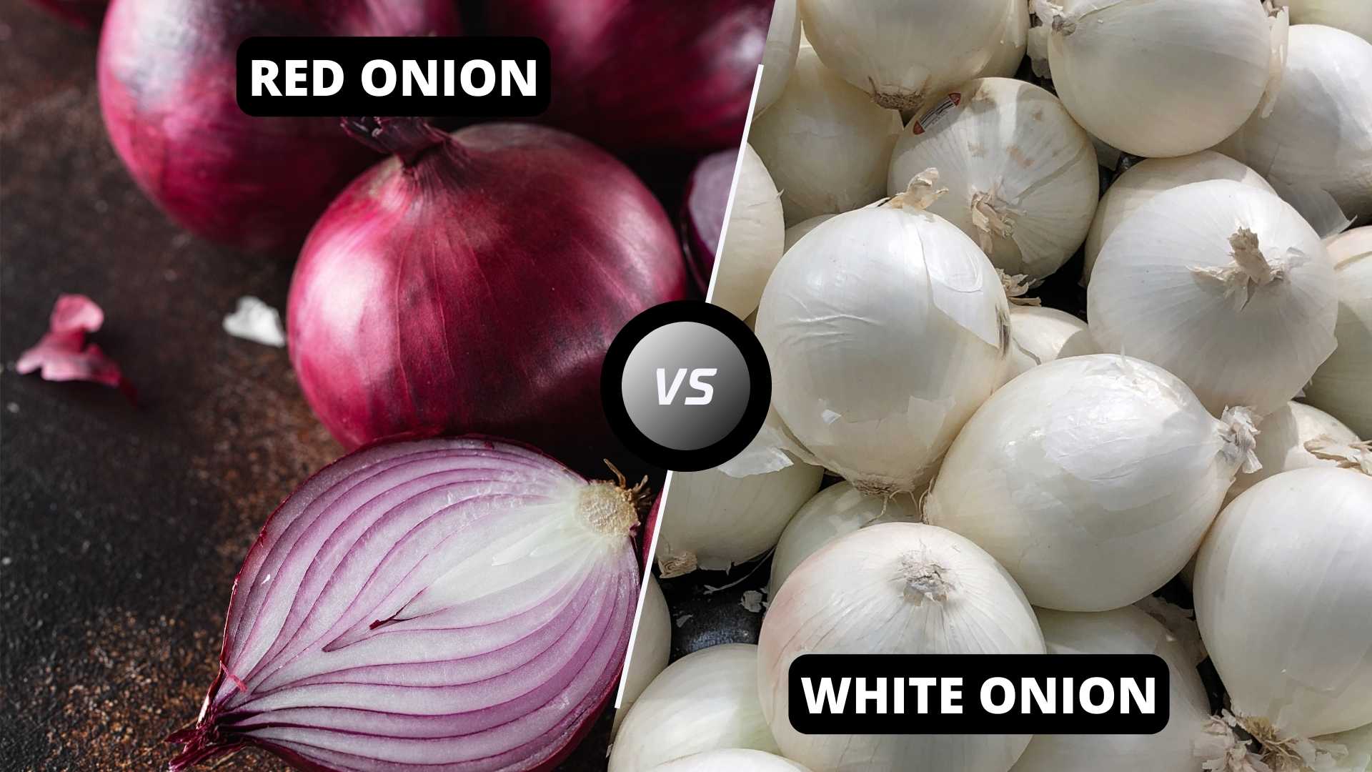Red Onion vs White Onion