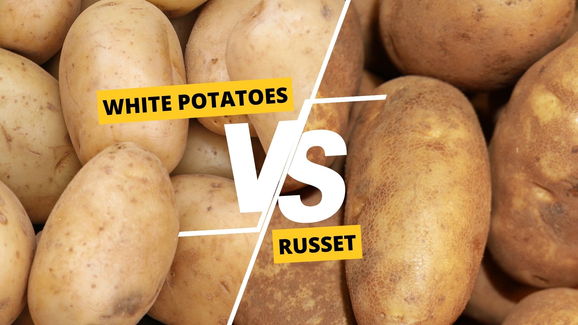 White Potatoes vs Russet